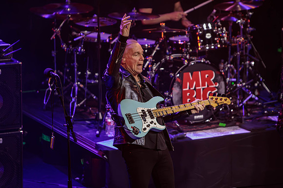 Billy Sheehan—Mr. Big 2024